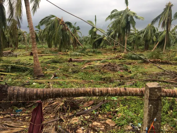Help TamilNadu Farmers Recover from Cyclone