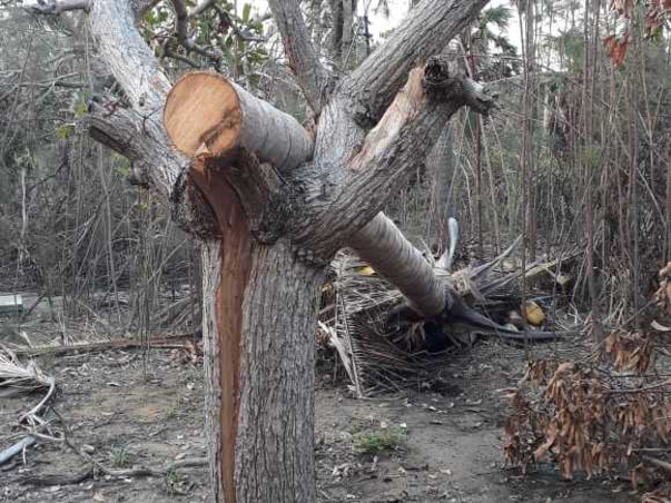 Help Cyclone Gaja impacted farmers to live again