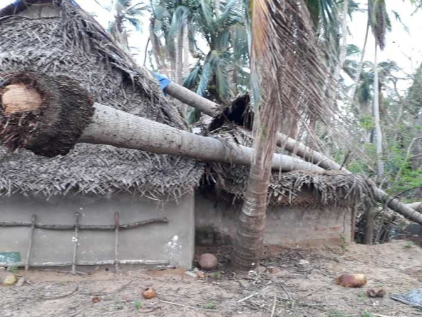 Help Cyclone Gaja impacted farmers to live again