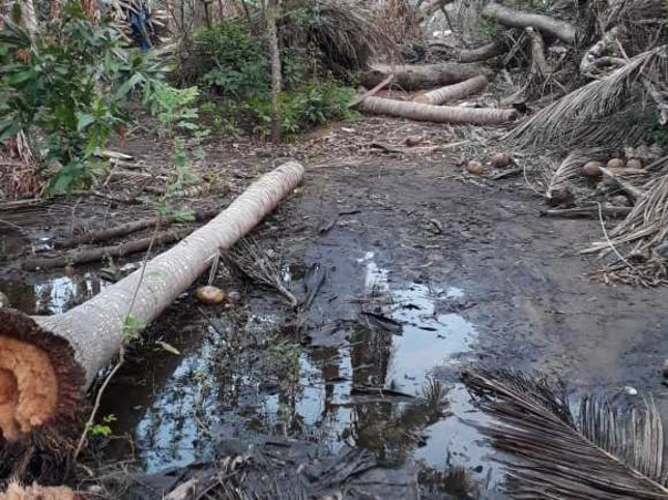 Help Cyclone Gaja impacted farmers to live again