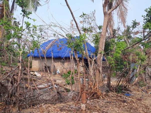 Help Cyclone Gaja impacted farmers to live again