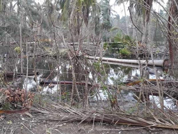 Help Cyclone Gaja impacted farmers to live again