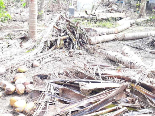 Help Cyclone Gaja impacted farmers to live again
