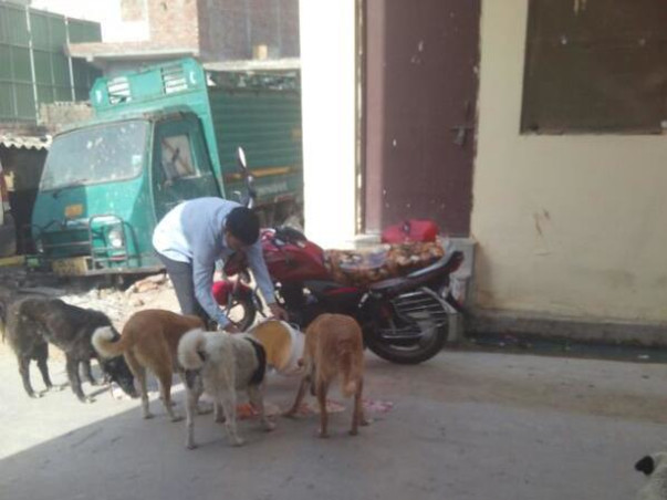 Do support over 1000 street dogs' during Covid-19 crisis in India