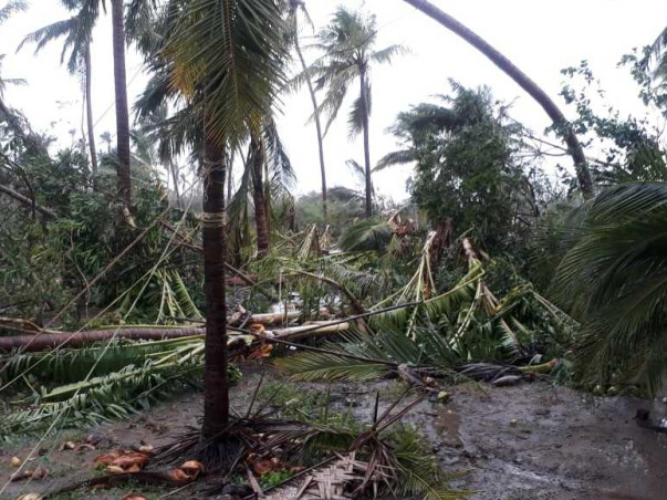 Help Us In Rehabilitating Gaja Victims