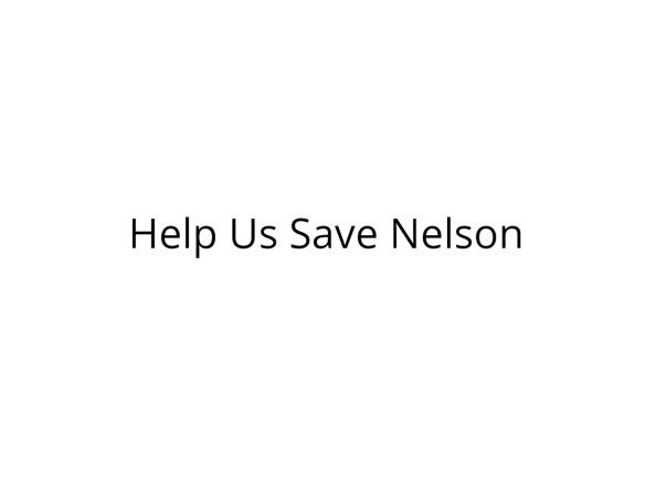 Help My Husband Get Treated for Blood Clot in his Brain