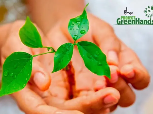 Plant Trees with Project Green Hands!