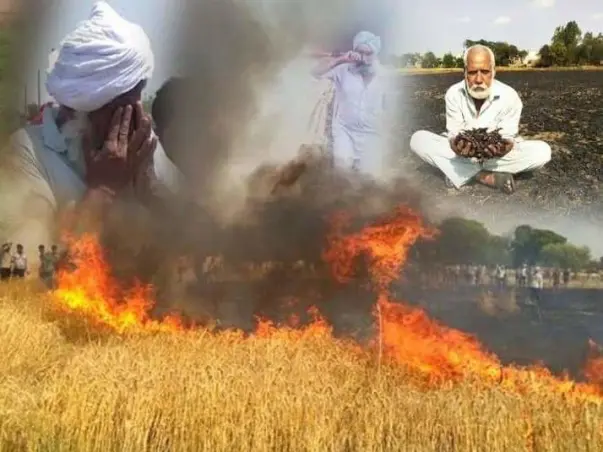 Help Farmers of Punjab