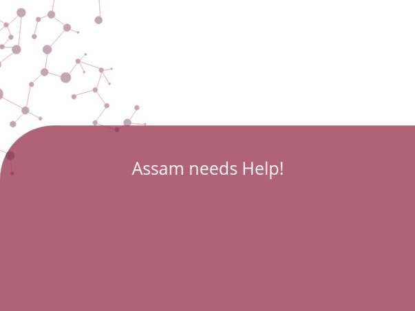 Assam needs Help!