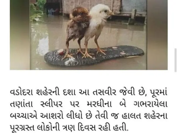 Hand for Vadodara Flood Innocent Victims