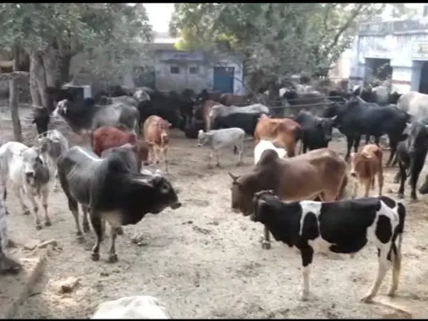 SANSKAR AWAAZ AYOJANA CHARITABLE TRUST