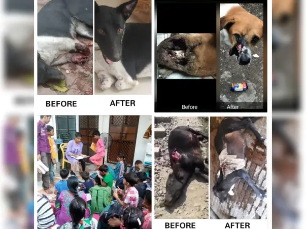 Help end Animal suffering and educate Young Minds