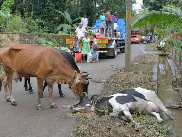 Help "ODISHA" Cyclone "FANI" Victims for Rehabilitation