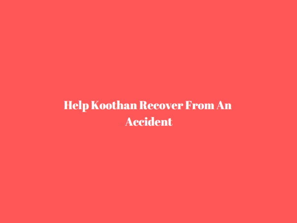 Help Koothan Recover From An Accident