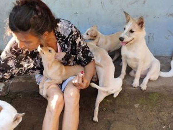 Help House Cherai Tails