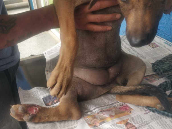 Help Bindya Stand On Her Feet