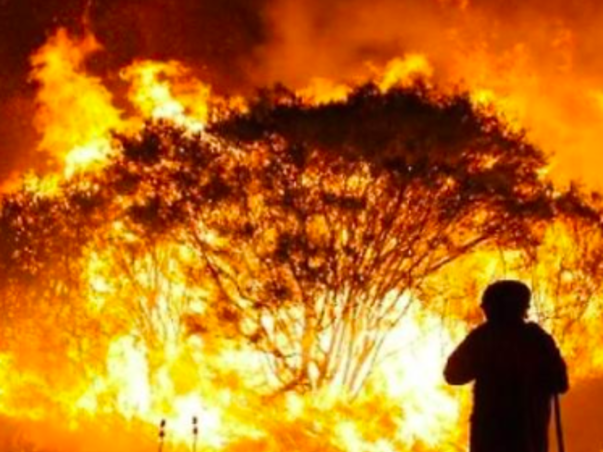 Your Time to Support - Australian Wildfires