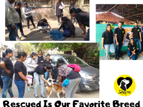 Help Geeta To Save More Animals