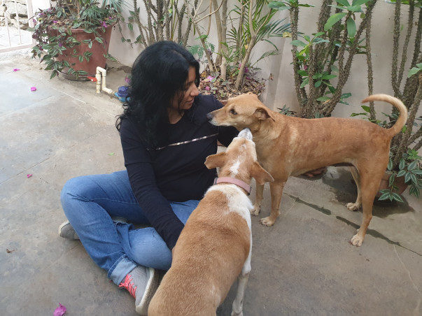 SOS! Urgent - Save Jen &100s of Her Rescued Animals From Eviction