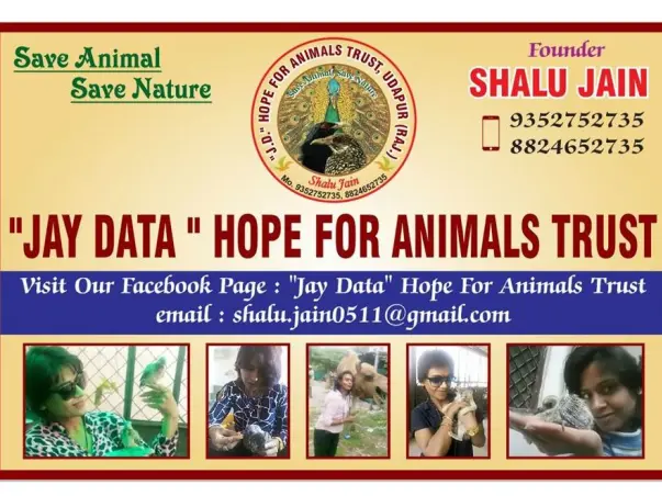 Support us in Conserving Wildlife