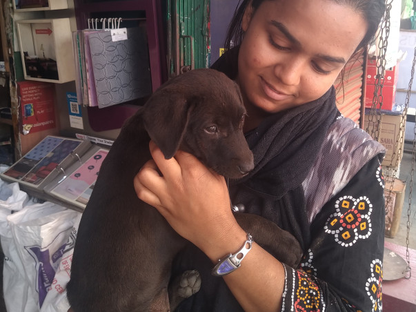 Target to spay/neuter 100 furries in Kolkata.(31 done.69 more to go.)