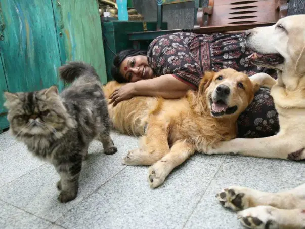 Help Anusha Build An Animal Sanctuary And Animal Hospital