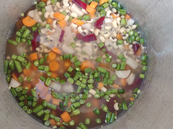 Unlocking hunger for 21 street dogs