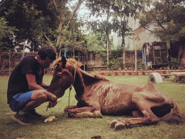 Help CYRO Feed The Animals In our Shelter
