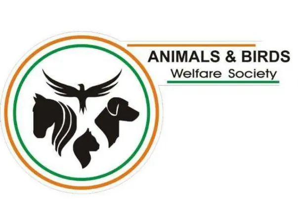 Help Animals from being Homeless