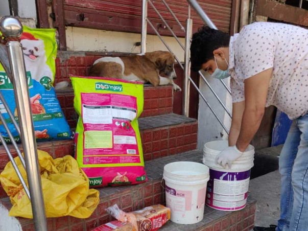 Help Vishwas foundation in their feeding the strays campaign!!