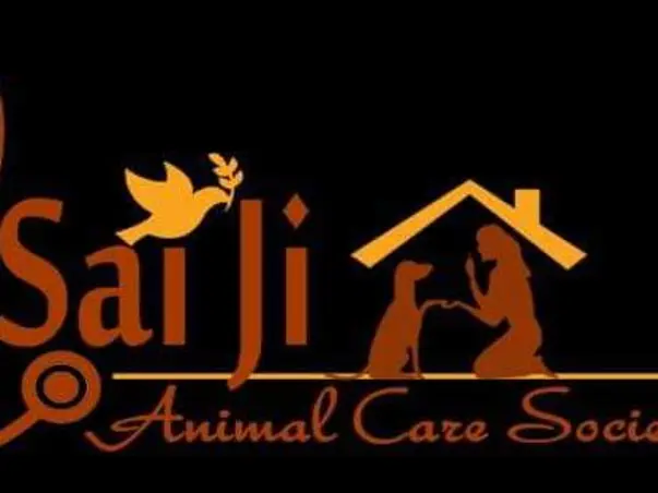 Food Campaign For Stray Animals