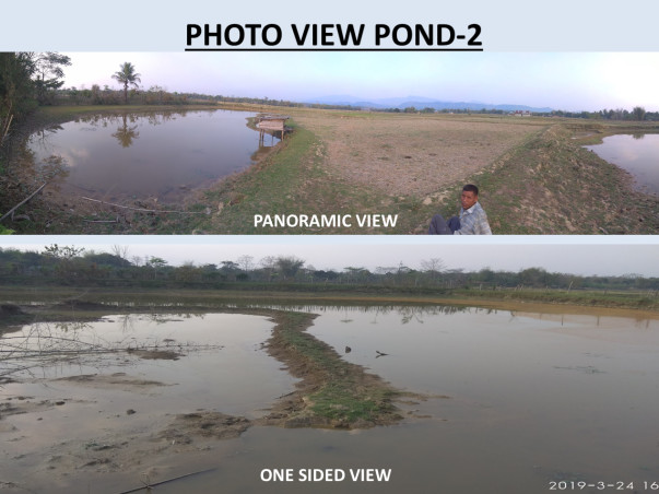 Help Start Full-Fledged Fish Farm