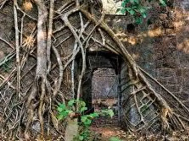 Help Shivaji Maharaj Fort to Restore its Original Look once again.