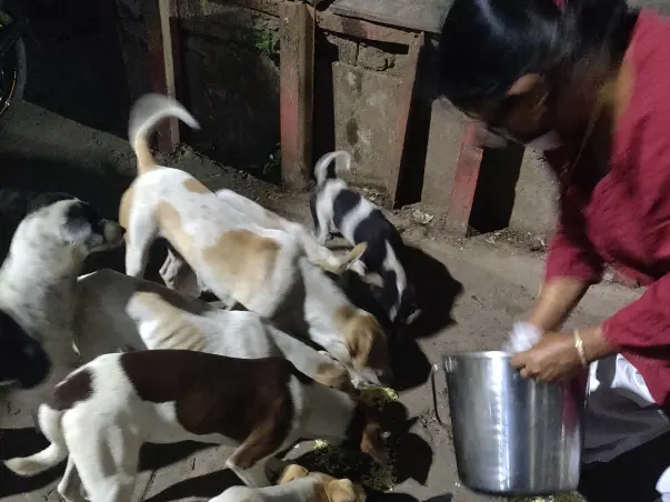 Help Sterilise Dogs inside Sealdah Platform