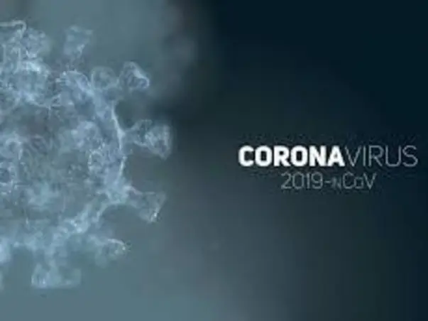 Covidhelpline