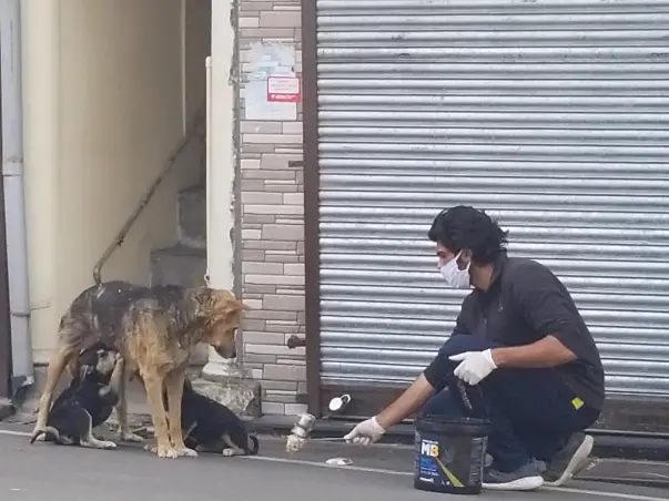 Help The Strays And Underprivileged Of India
