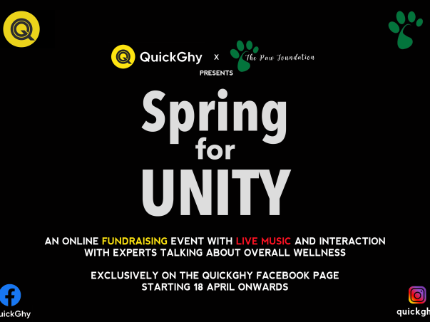 Help The Paw Foundation Raise Funds To Feed Street Animals In Guwahati