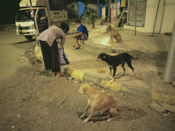 #Tofeedandquenchthethirst
Help Me Raise Funds For Stray Dogs