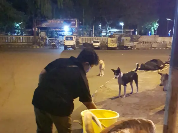 Help Sucheta To Continue Feeding 600 Dogs During This Lockdown Period