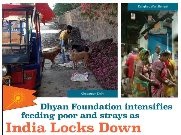 COVID-19 - Saving the Voiceless from Hunger in Pandemic Lockdown