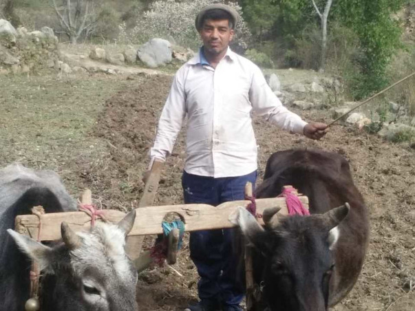 Adopt A Marginalised Farmer In Himalaya - Uttarakhand