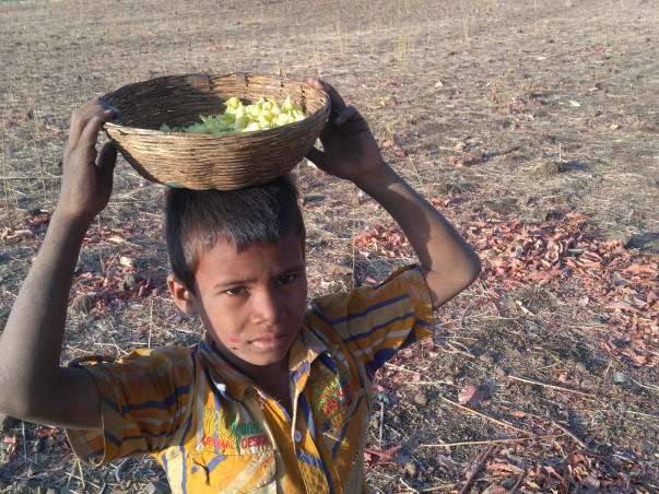 Helping Hands for Displaced Tribes of  Melghat Tiger Reserve