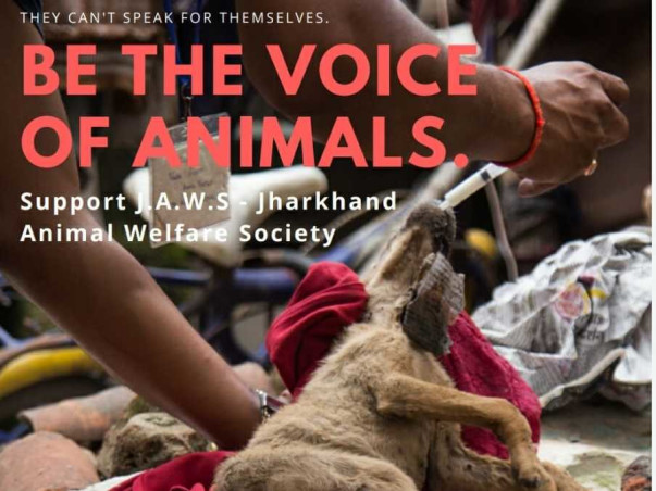 Animal Welfare - For every PAW needs a Hand