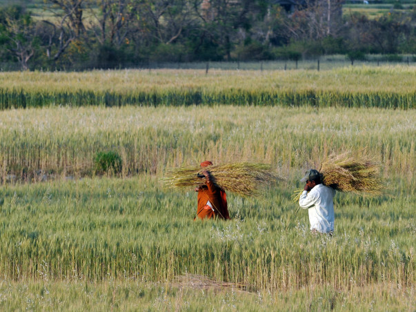 Adopt A Marginalised Farmer In Himalaya - Uttarakhand