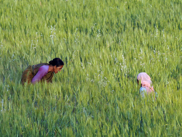 Adopt A Marginalised Farmer In Himalaya - Uttarakhand