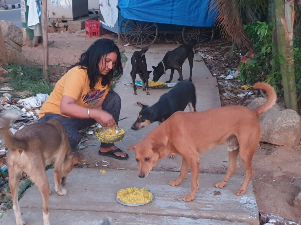 SOS! Urgent - Save Jen &100s of Her Rescued Animals From Eviction