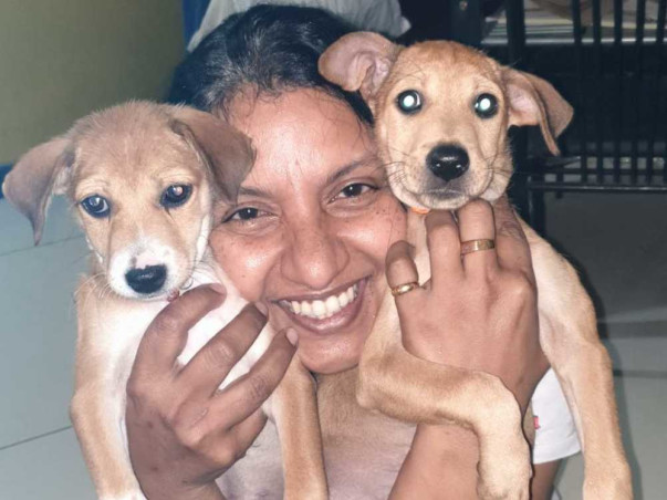 SOS! Urgent - Save Jen &100s of Her Rescued Animals From Eviction