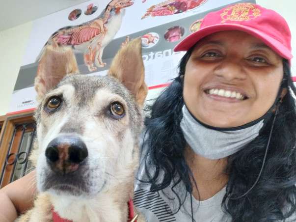 SOS! Urgent - Save Jen &100s of Her Rescued Animals From Eviction