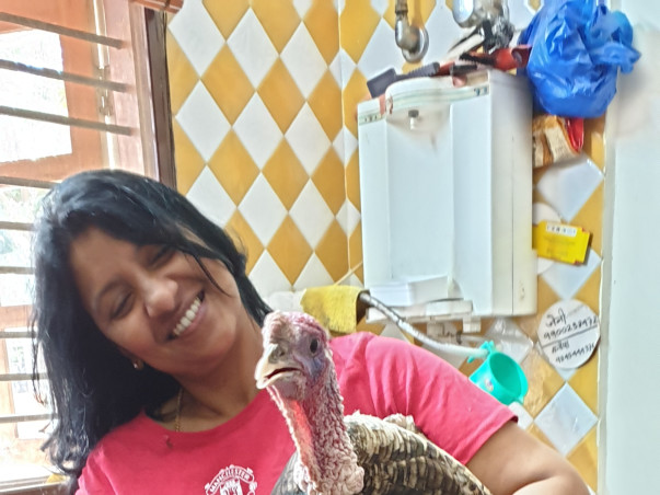 SOS! Urgent - Save Jen &100s of Her Rescued Animals From Eviction