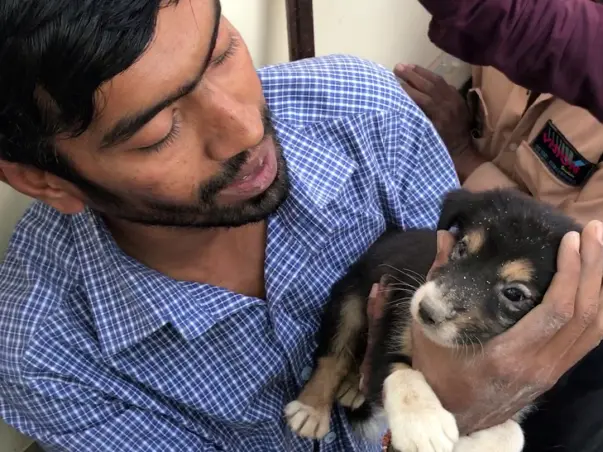 Support Pradeep Nair Who Has Rescued 70000 Injured Animals